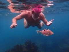 Arotrolepis filicauda