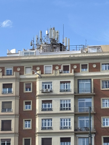 Avistamiento Gaviota patiamarilla
