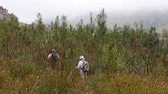 Empleurum unicapsulare