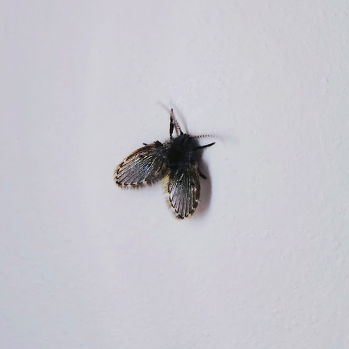 Unknown species found near 78260