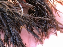 Cryptosiphonia woodii