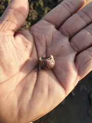 Paratectonatica tigrina