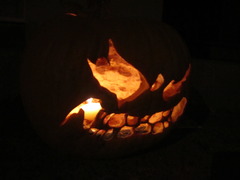 Cucurbita maxima maxima