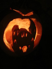 Cucurbita maxima maxima