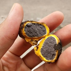 Scleroderma