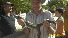 Crocodylus rhombifer
