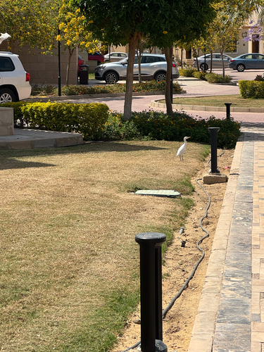 iNaturalist: (c) Sprito, some rights reserved (CC BY-NC), uploaded by Sprito iNaturalist image