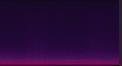 Ninox novaeseelandiae