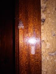 Eucereon phaeoprocta