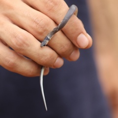 Aparallactus lunulatus