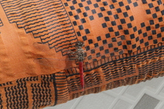 Bradinopyga strachani