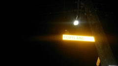 Ninox boobook ocellata