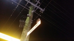 Ninox boobook ocellata