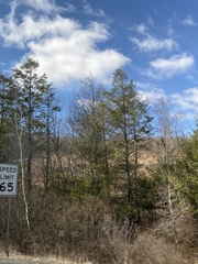 Juniperus virginiana virginiana