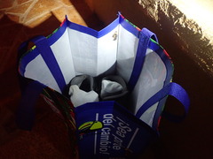 Centruroides bicolor