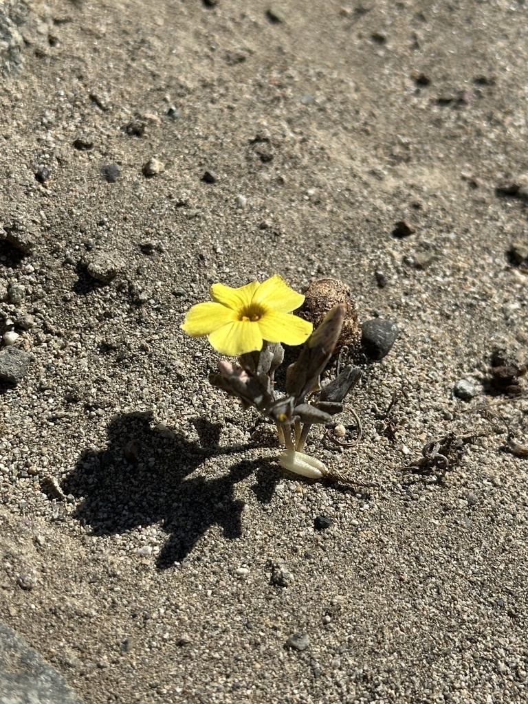 Foto de Desconhecido