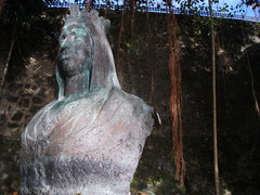 Anolis cristatellus cristatellus