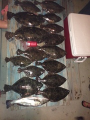 Paralichthys lethostigma