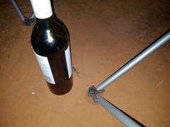 Zopheromantis loripes