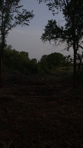 Eastern Whip-poor-will observed by cnacree