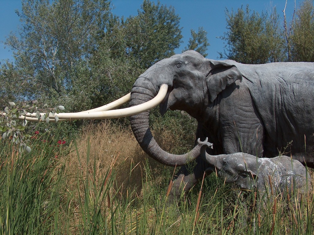 European Straighttusked Elephant † (Megafauna Parks (W Palearctic