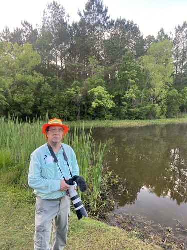 Eastern Kingbird observed by irinashport