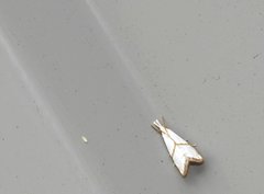 Pseudargyria interruptella