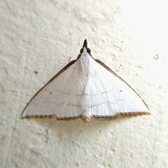 Ramila
