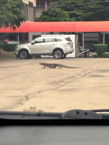 Common Water Monitor