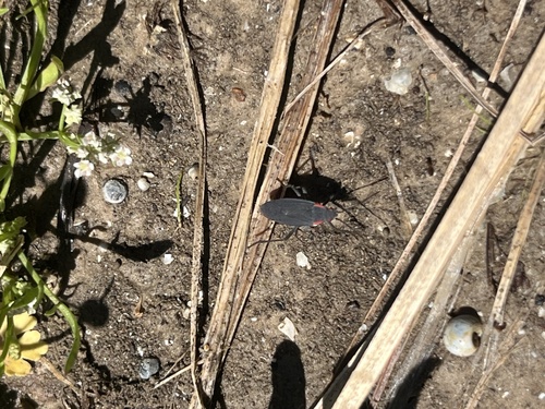 Featured image for “”