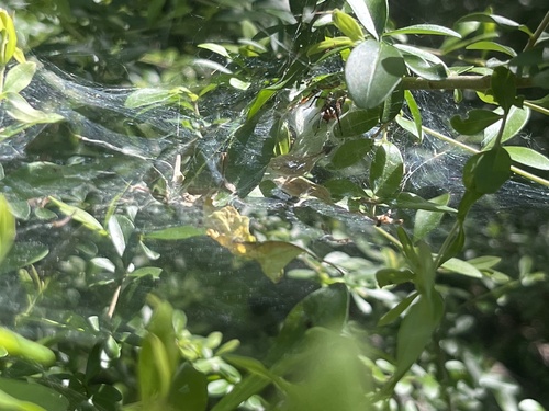 Featured image for “”