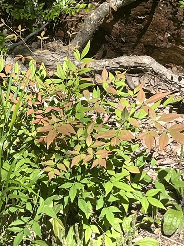 Featured image for “”