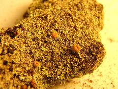 Cladonia caespiticia