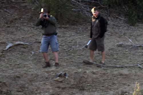 iNaturalist image