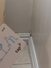 Gryllodes sigillatus