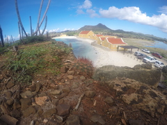 Melocactus macracanthos