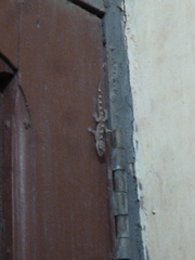 Hemidactylus angulatus