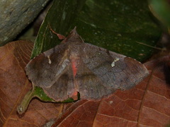 Azeta