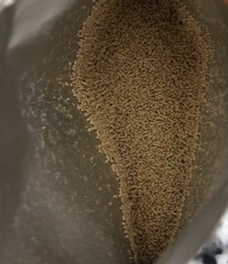 Saccharomyces cerevisiae