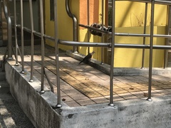 Streptopelia chinensis