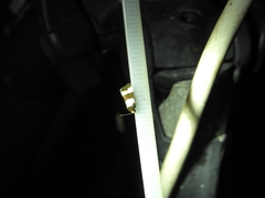 Micrapatetis orthozona