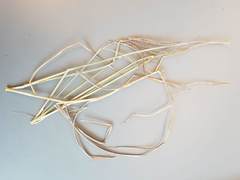 Dichanthium annulatum