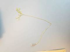 Astragalus nuttallianus