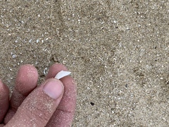 Tugali parmophoidea