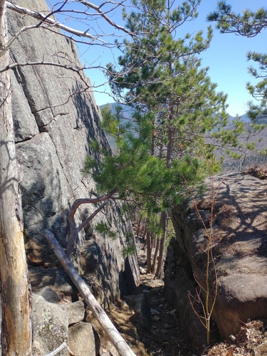 Owls Head Trail