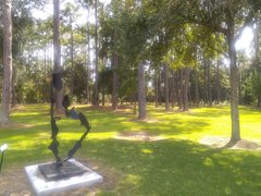 Myotis austroriparius