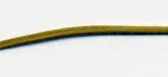 Pilosella onegensis