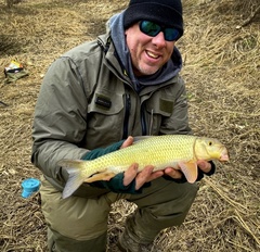 Moxostoma erythrurum