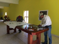 Centruroides suffusus