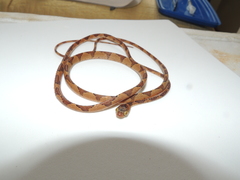 Imantodes lentiferus